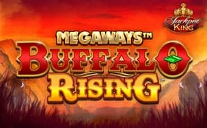 buffalo rising megaways jackpot king casino game