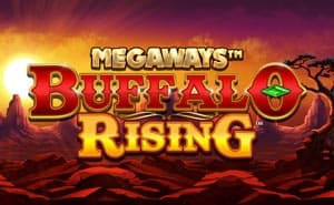 Buffalo Rising Megaways online casino game