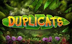 Duplicats online casino game