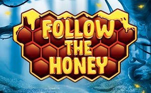 Follow The Honey