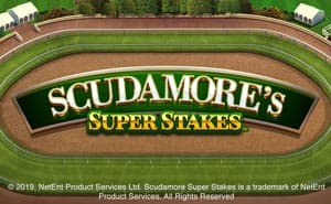 Scudamores Super Stakes casino game