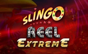 Slingo Free Demo